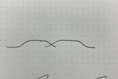 IMG_C119475E-A32A-4A0B-8E16-94EED82CFC33